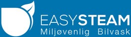 Easy Steam Bilvask